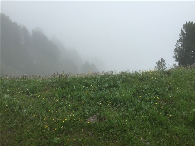 Monti immersi nella nebbia.